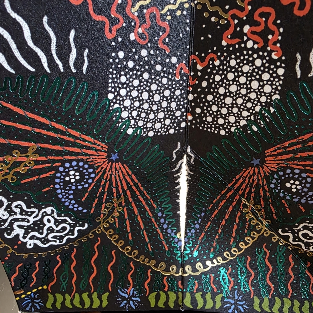 Large Beautiful Dior Gift Bag Limited Edition - Picture 6 of 6